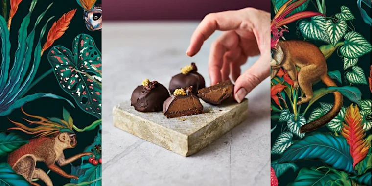 Chocolate Meditation