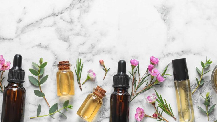 Flat lay composition with bottles of natural tea tree oil and spa with white marble background